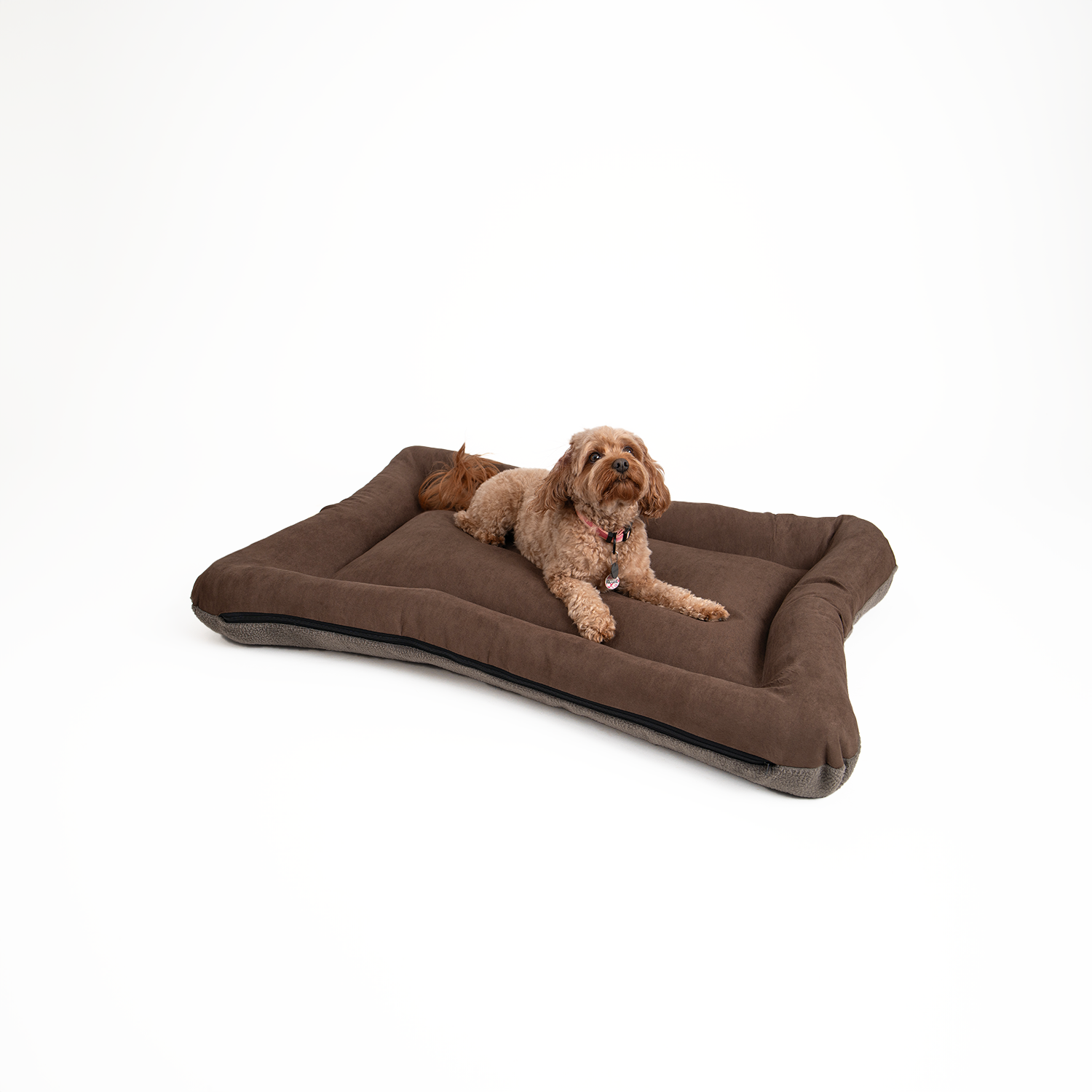 Snoozer Pet Products - Vendita all'ingrosso Letto - Cani - Cuccia per Cani All Day di Snoozer24