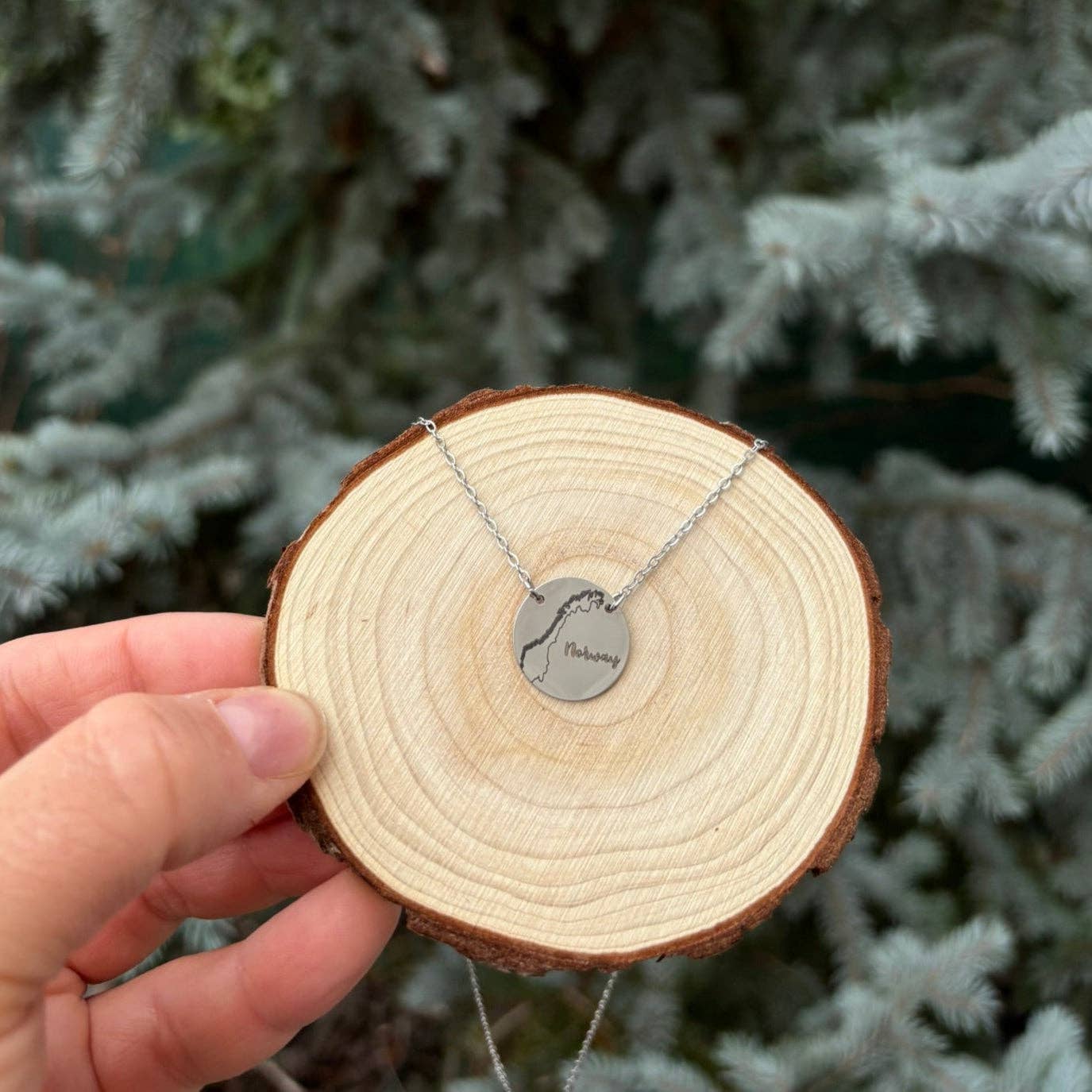 Arthousefern - Wholesale Pendant/Charm Necklace - Norway country outline round necklace- Stainless Steel5