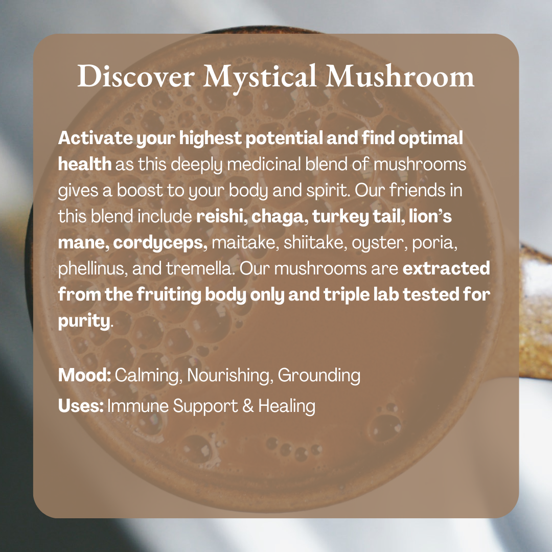 Ora Cacao - Wholesale Hot Cocoa Mix/Kit - Mystical Mushroom Cacao - Organic Ceremonial Chocolate5