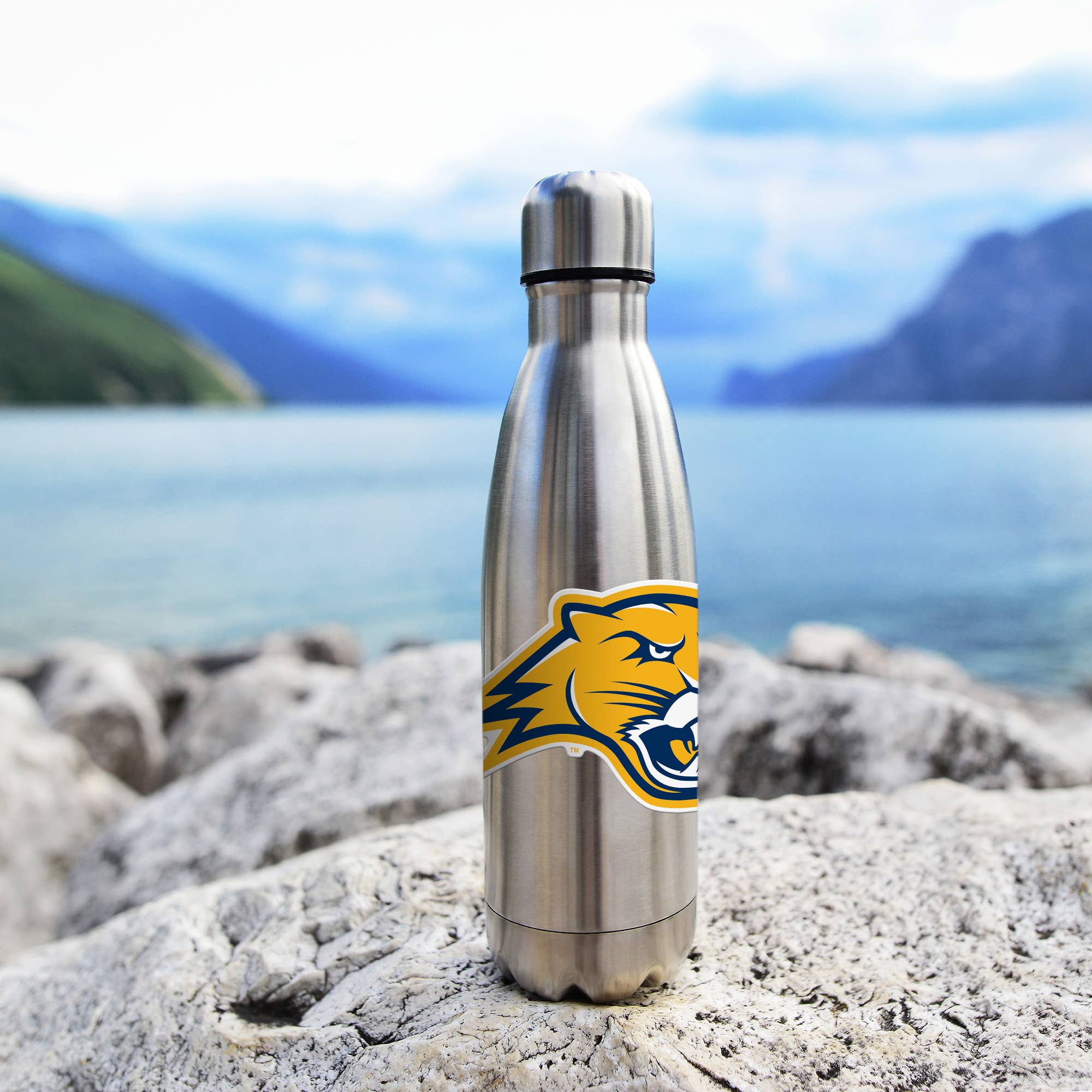 Rico Industries - Wholesale Car Decorative Charm - Unisex - NCAA  Averett Cougars  Medium Die Cut Decal3