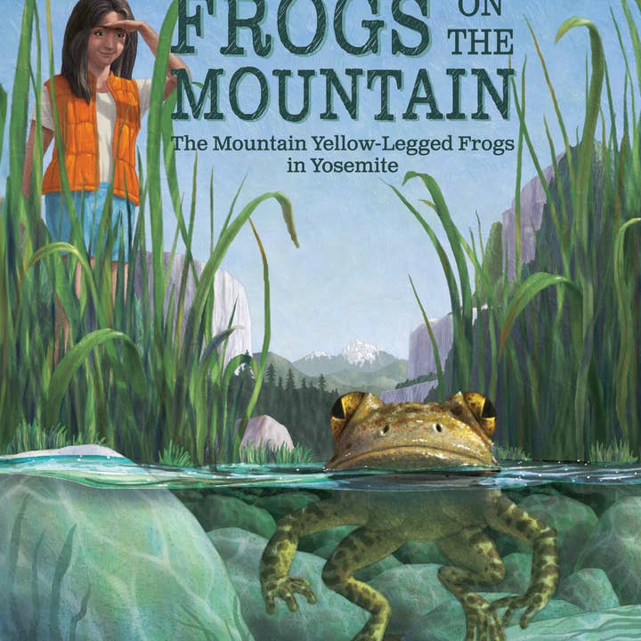 Grodor på berget för wholesale av Bringing National Parks to Life