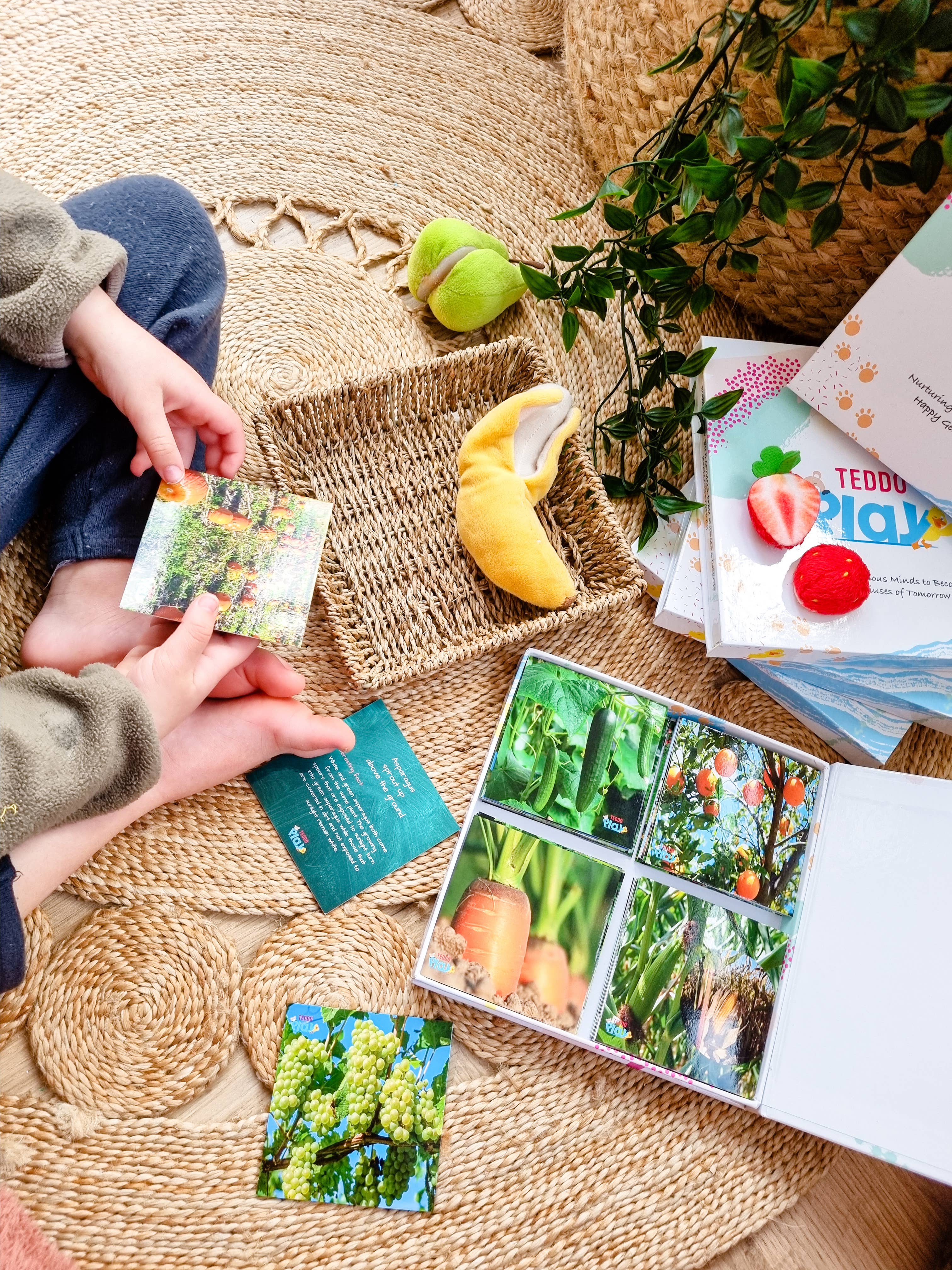 Teddo Play – Großhandel Lernkarten – Kind & Baby – Multi-Bundle mit 13 Lernsets Lernspiele für Kinder12
