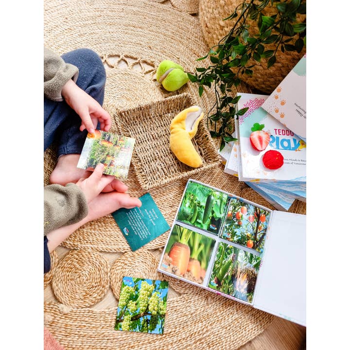 Teddo Play – Großhandel Lernkarten – Kind & Baby – Multi-Bundle mit 13 Lernsets Lernspiele für Kinder12