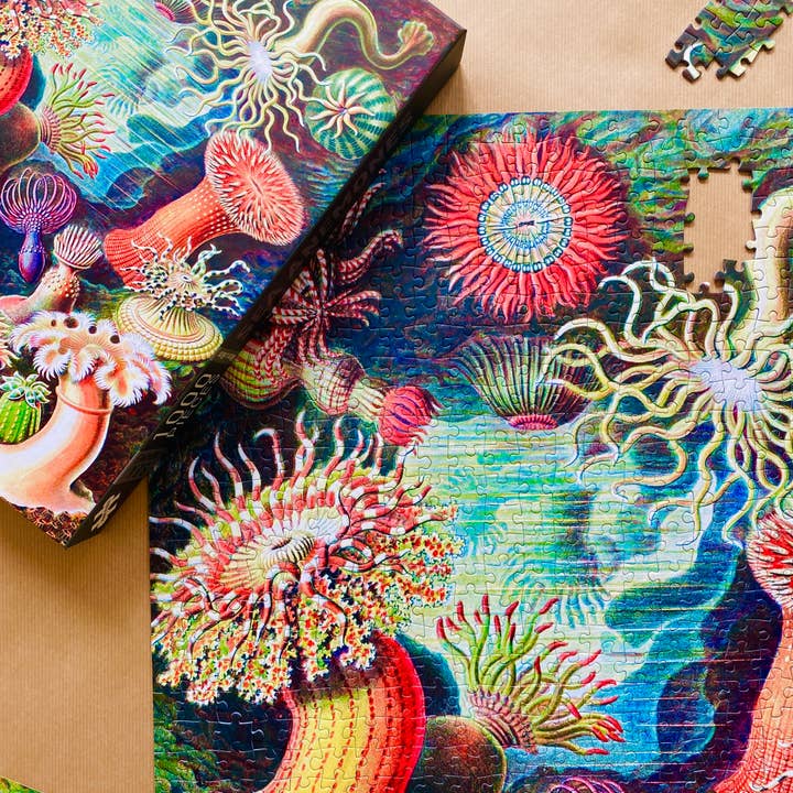 Penny Puzzle - Wholesale Puzzle - Adult - Sea Anemones 1000 piece Vintage jigsaw puzzle8