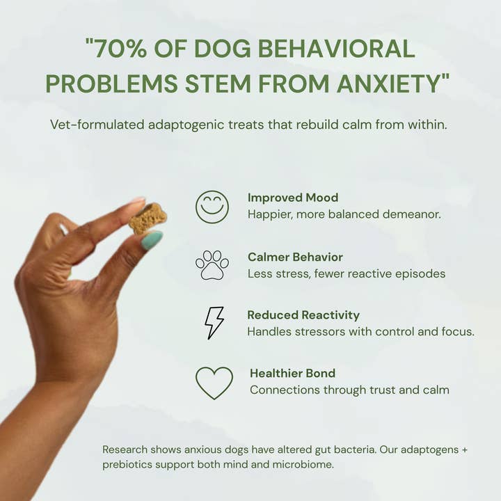 Botanical Bones - Wholesale Hondenkoekjes - Hond - Balance + Calm koekjes - Natuurlijk, biologische hondensnacks6