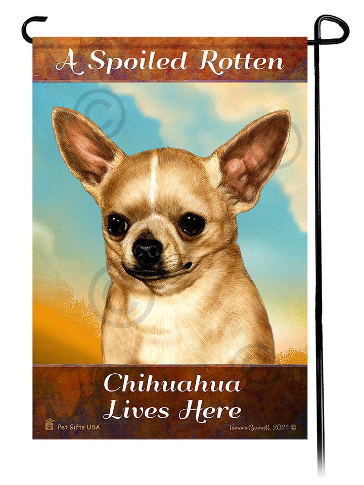 A Spoiled Rotten Chihuahua Short Hair Fawn Lives Here - G... for wholesale by Pet Gifts USA, LLC