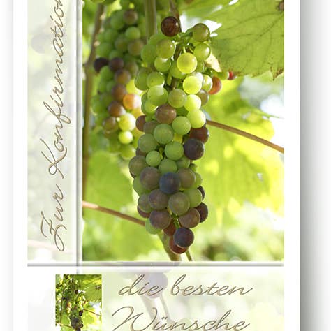 Bekräftelse/Gratulationskort/339020 för wholesale av Yabué