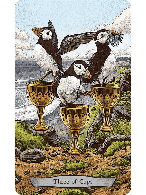 Cardshouse – Großhandel Tarot-Karten – Tiertotem-Tarotkarten Llewellyn1