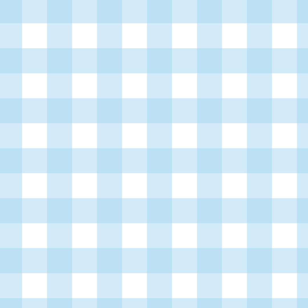 Gracie's Closet - Wholesale Sleepwear Set - Kids - Blue Gingham 2-Piece Toddler Bamboo Set1