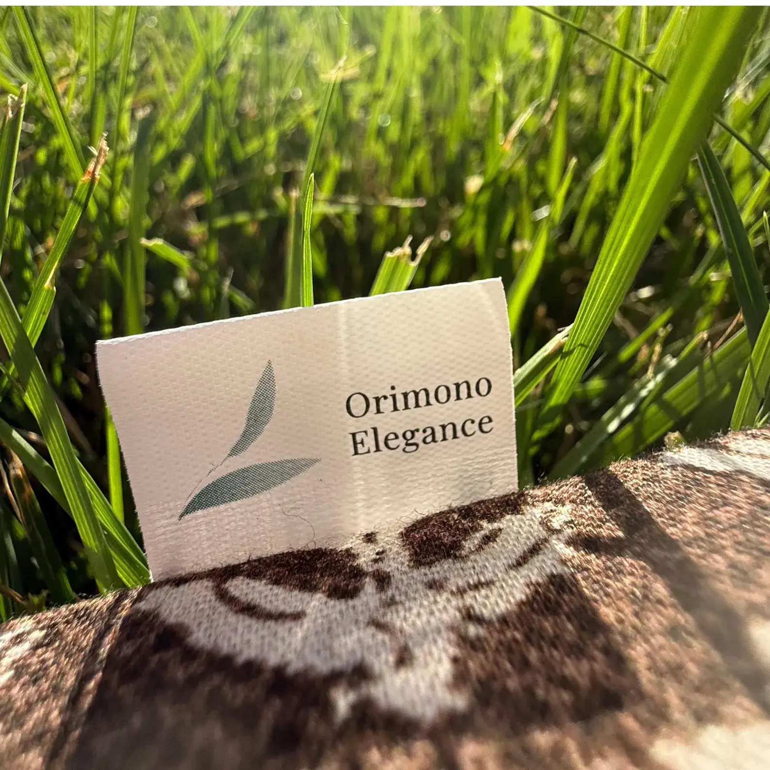 Orimono Elegance - Vendita all'ingrosso Cuscini per letto - Cuscino di Grano Saraceno Biologico – Copertura in Cotone Floreale Neutro4