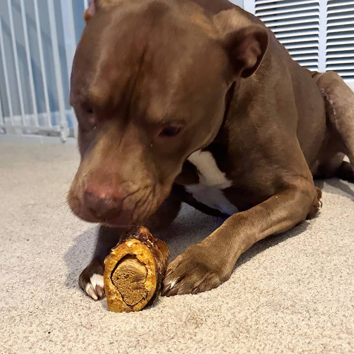 Poochie Butter - Wholesale Pet Treats - Dog - Beef Femur Bone with Real Peanut Butter