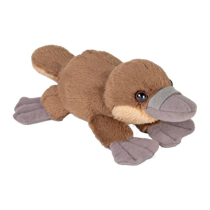 Pocketkins-Eco Platypus for wholesale by Wild Republic
