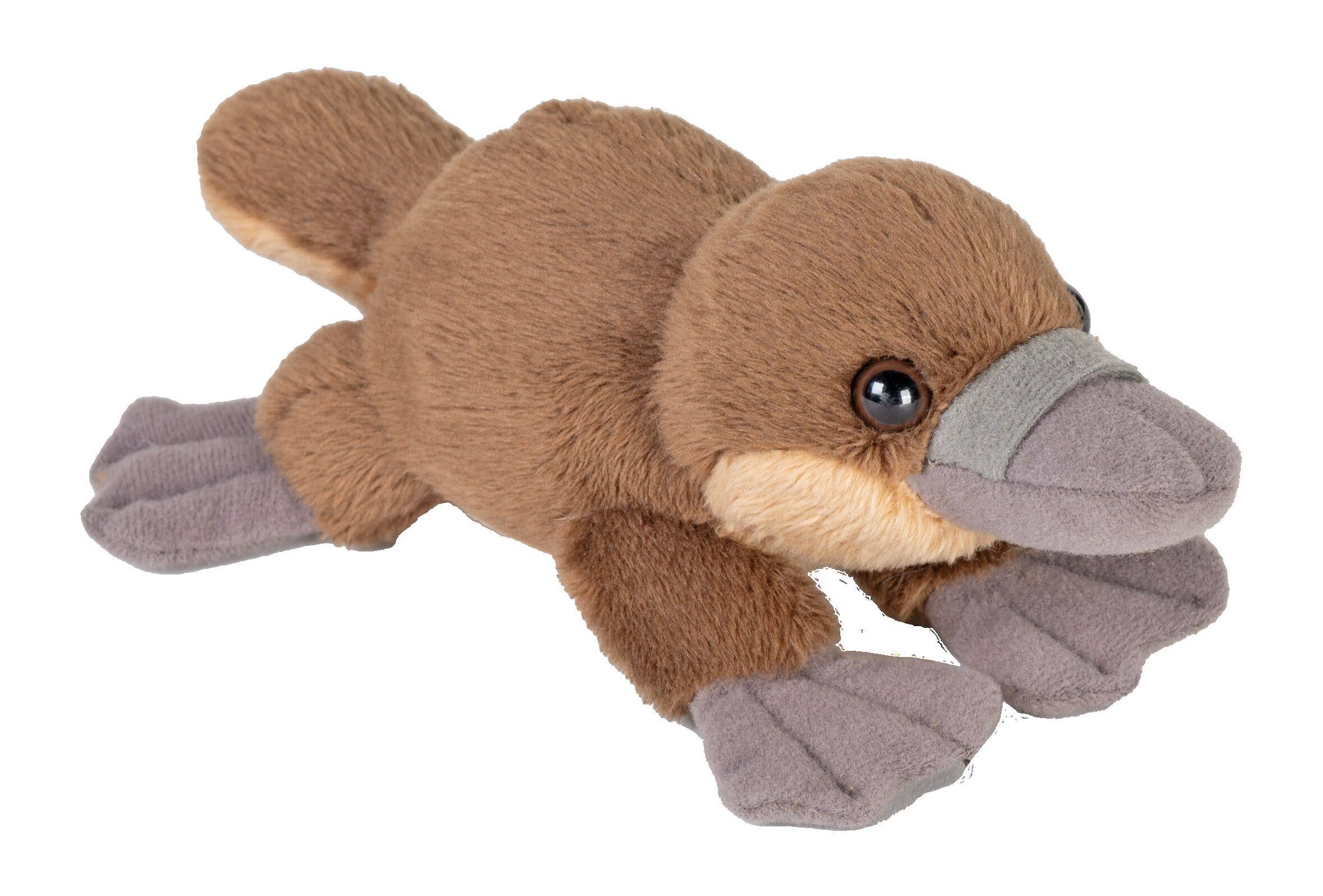 Wild Republic - Wholesale Stuffed/plush toy – Kids & baby - Pocketkins-Eco Platypus