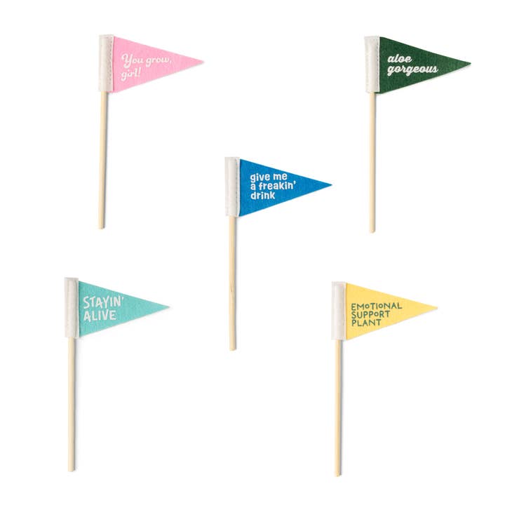 DM Merchandising - Wholesale Garden/Lawn Stake - Seed & Sprout Rooting For You Plant Pennants3