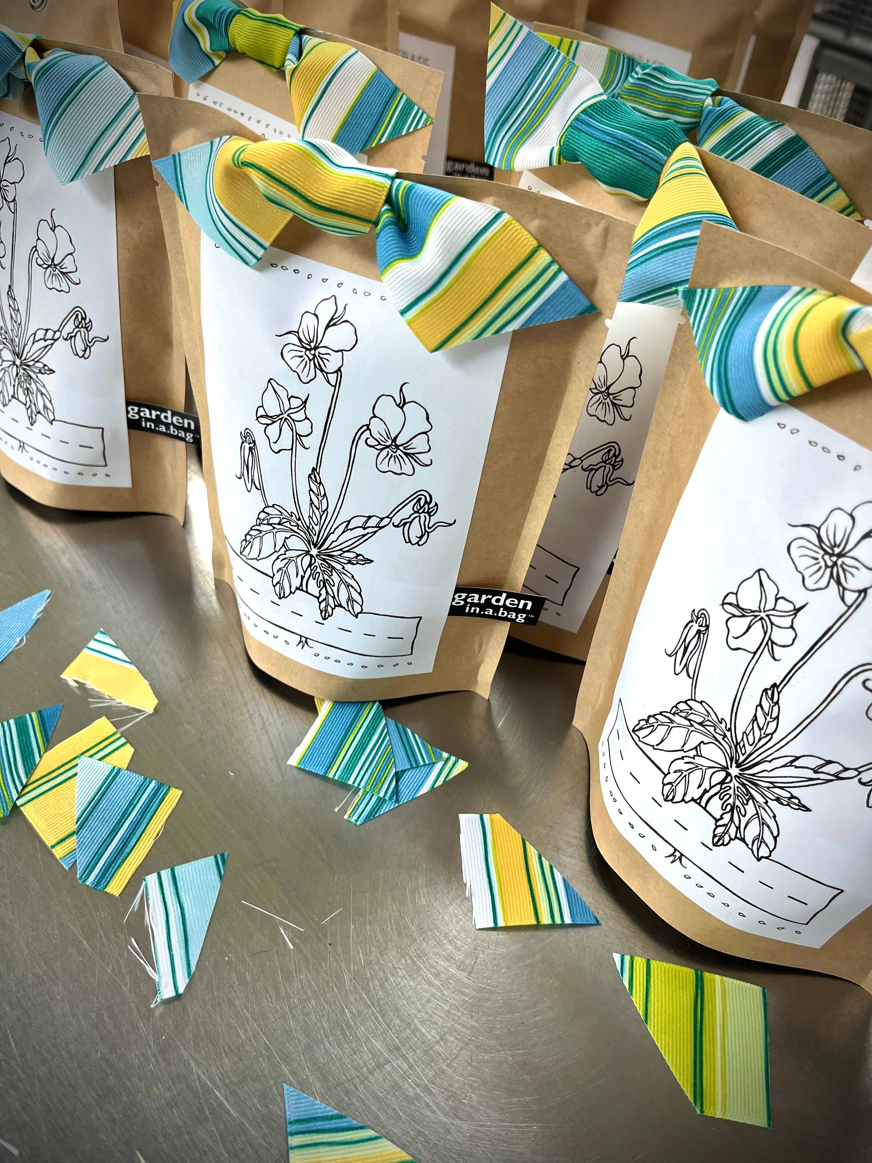 Potting Shed Creations, Ltd. - Wholesale Plant Seeds - Kids Garden in a Bag | Viola | Spring Learning Easter Gift3