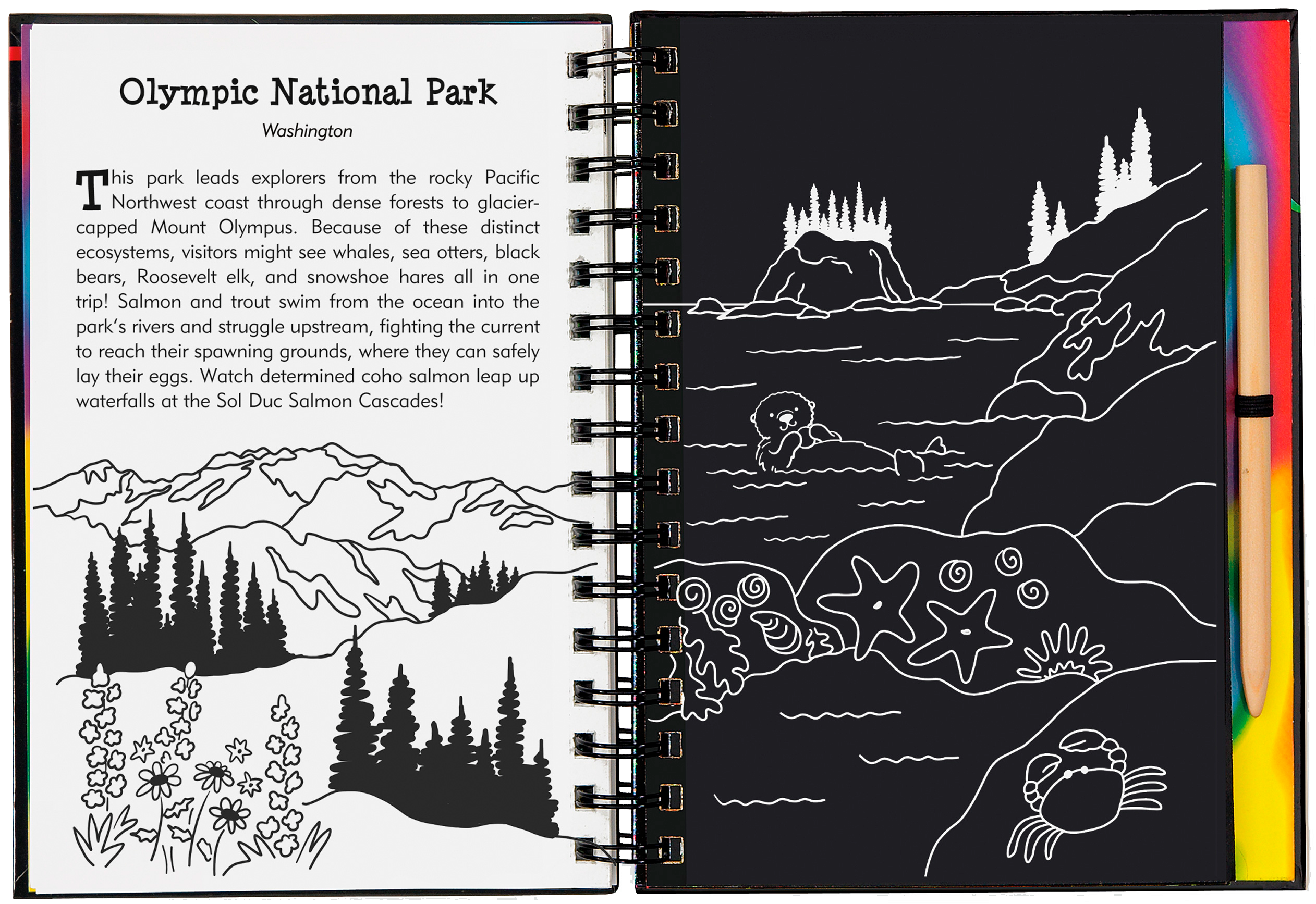 Peter Pauper Press - Wholesale Sketchbook/Sketchpad - National Parks & Landmarks Scratch and Sketch5
