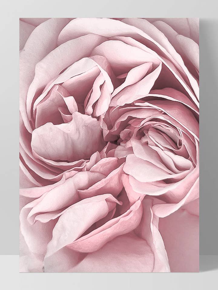 Pink Peony Details Art Print. Peony Wall Art Room Poster for wholesale by PRINT AND PROPER