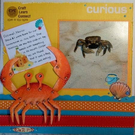 EyeConnect Crafts - Vendita all'ingrosso Kit per lavoretti fai da te - Granchio totem