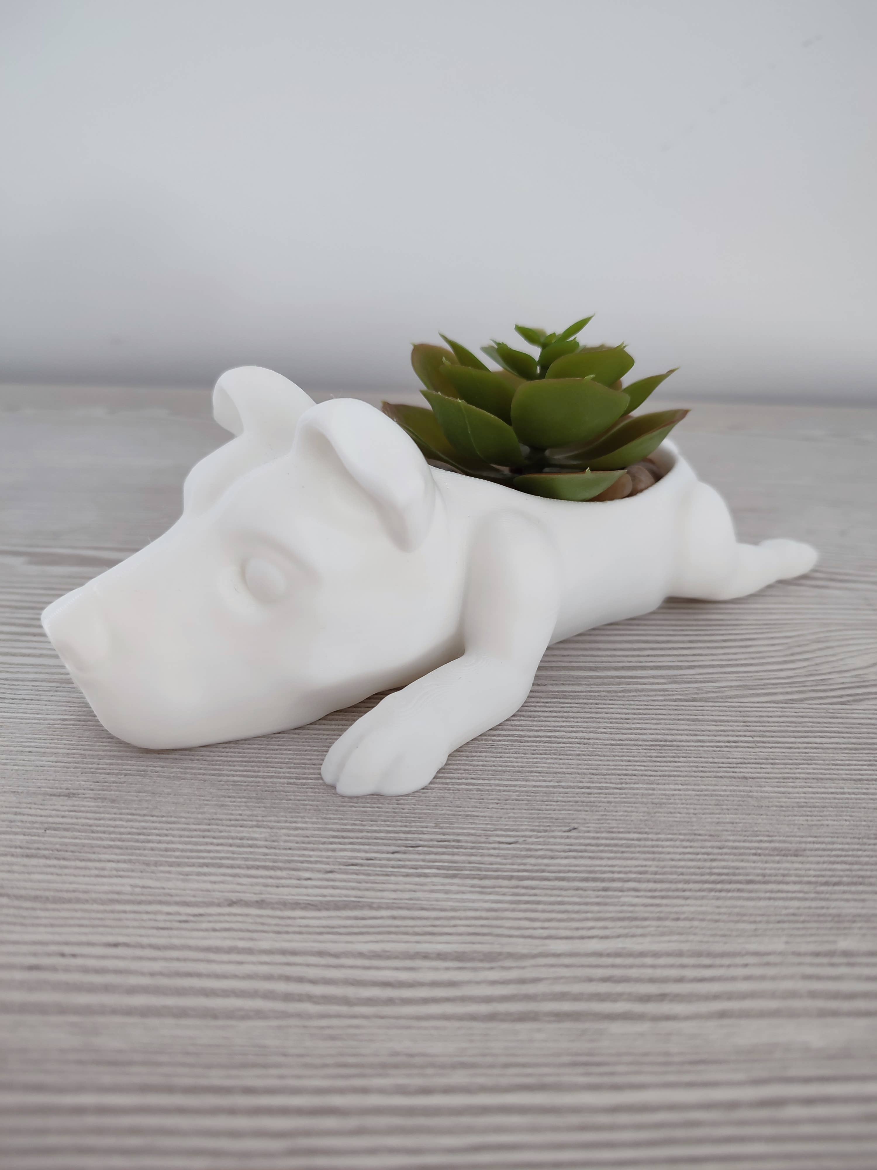 3DROOTS - Venta al por mayor Macetas - Maceta con forma de perro Staffordshire Bull Terrier4