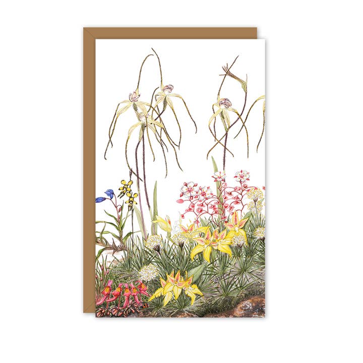 Small Card: Esperance Spider Orchids for wholesale by STUDIO NIKULINSKY