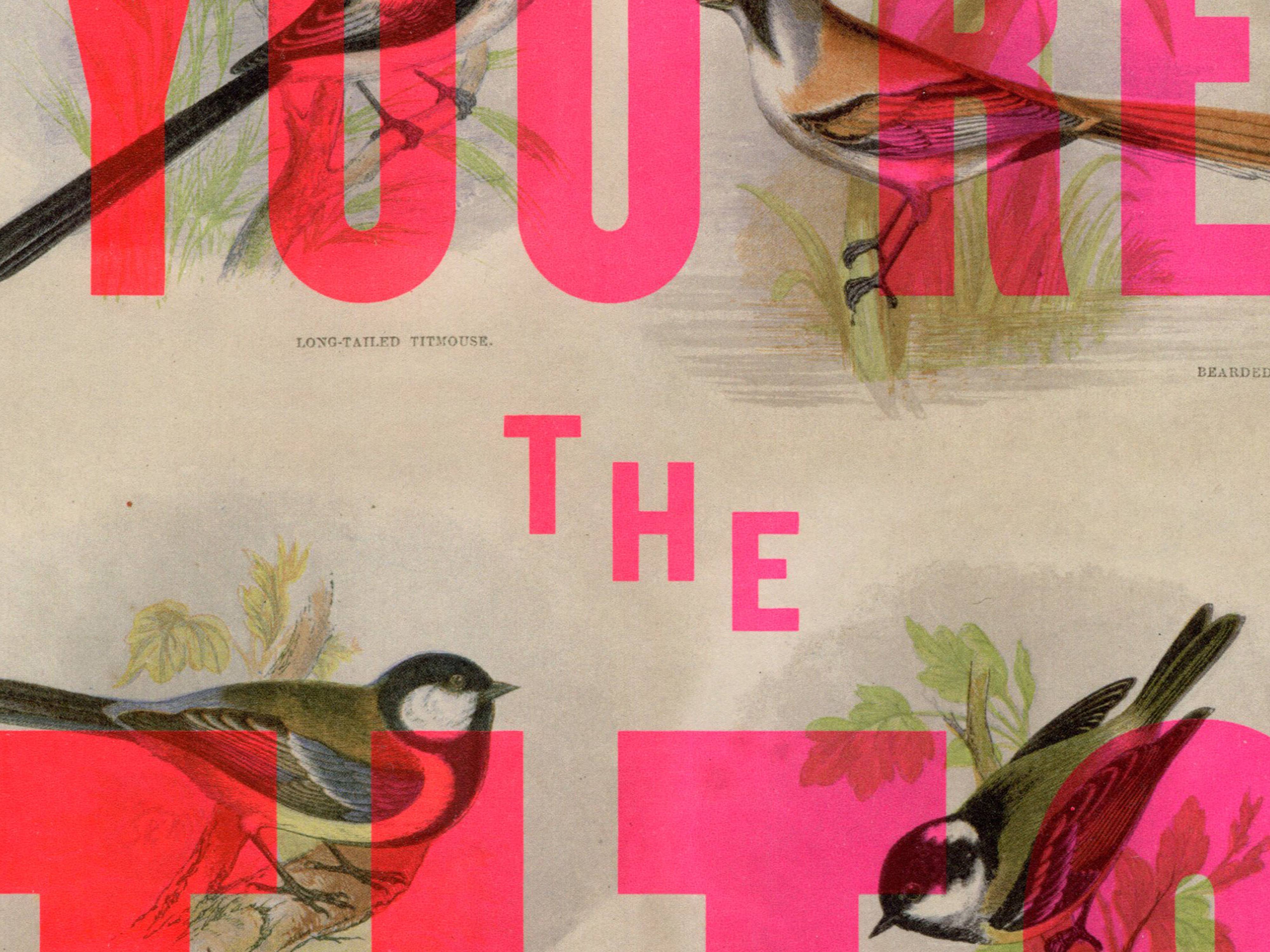 Basil & Ford – wholesale Art print – You're The Tits - A4 Screen Print2