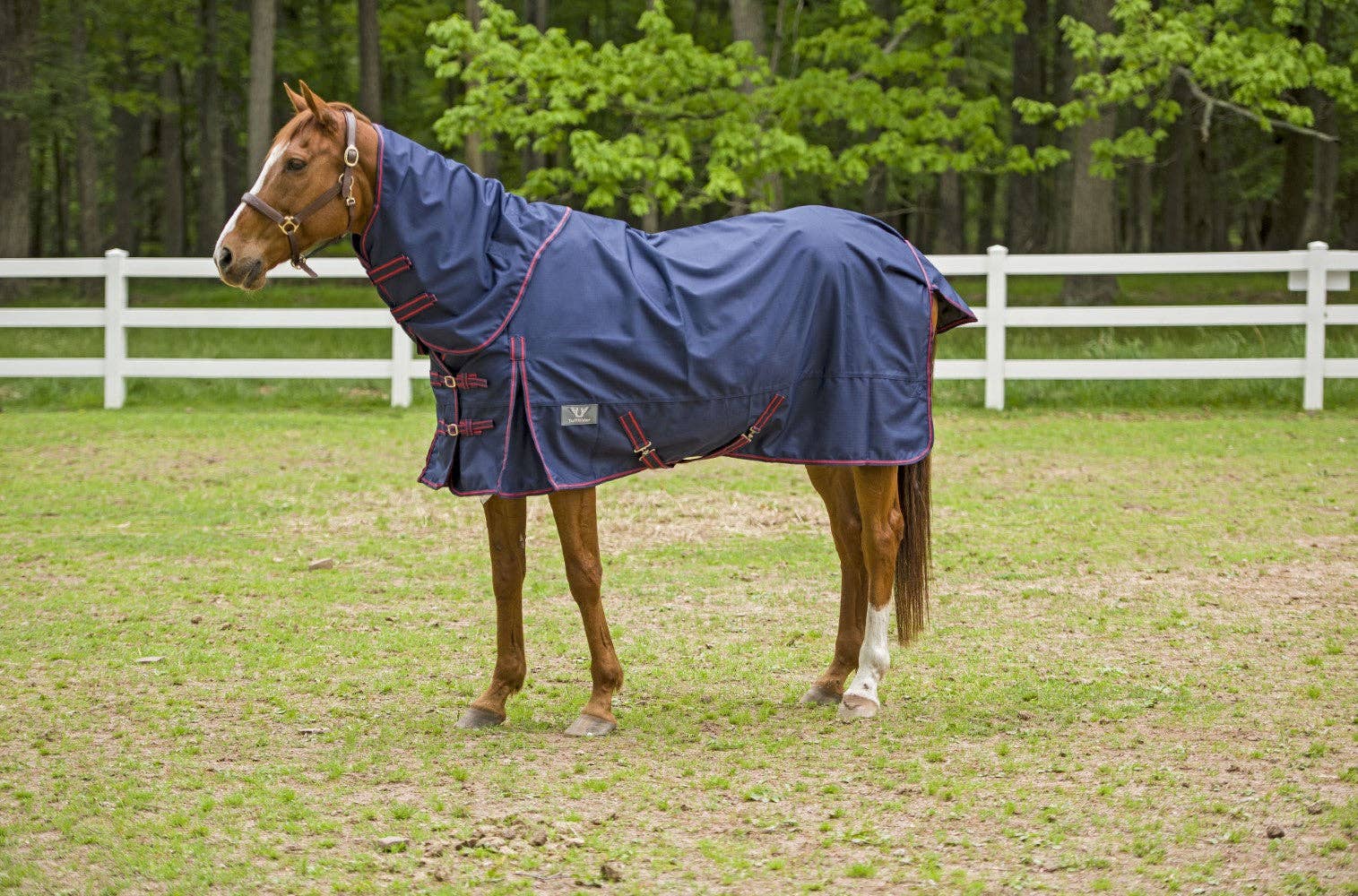 JPC Equestrian - Wholesale Horseback Riding Gear - TuffRider 1200 D Comfy Detachable Neck Ripstop Turnout Sheet4