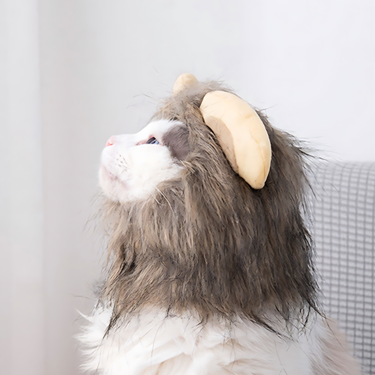Brown Lion Mane Wig for Cats and Dogs – Pet Costume Hat_CWAH3745 for wholesale on Faire6