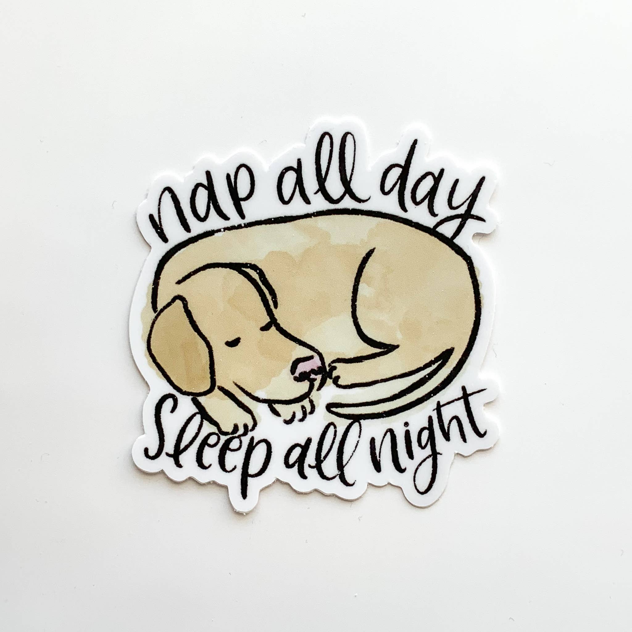 Elyse Breanne Design - Wholesale Sticker - Nap All Day Sleep All Night Dog Sticker 3x3in.