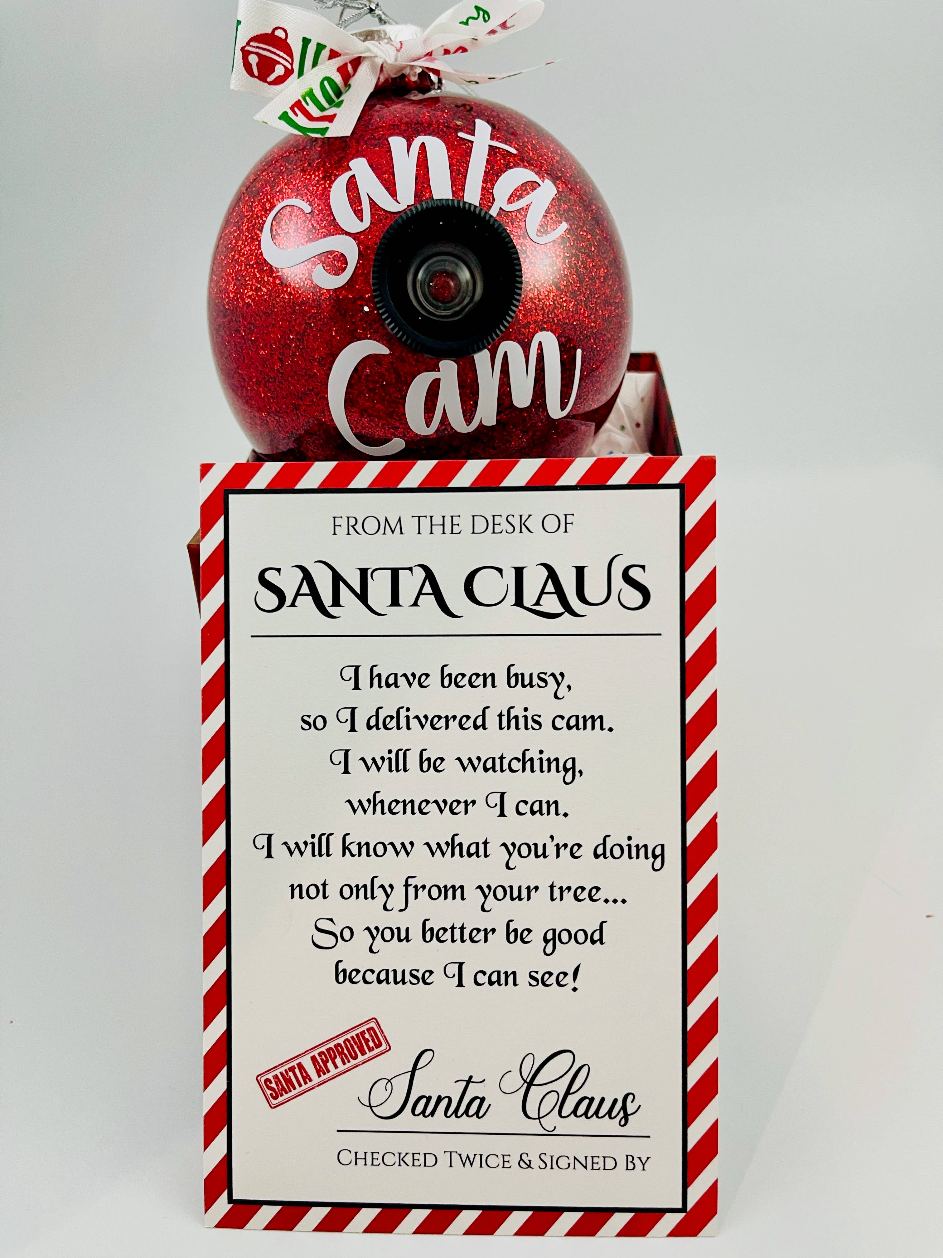 SunshineSoulMD - Wholesale Ornament - Santa Cam Christmas Ornament2