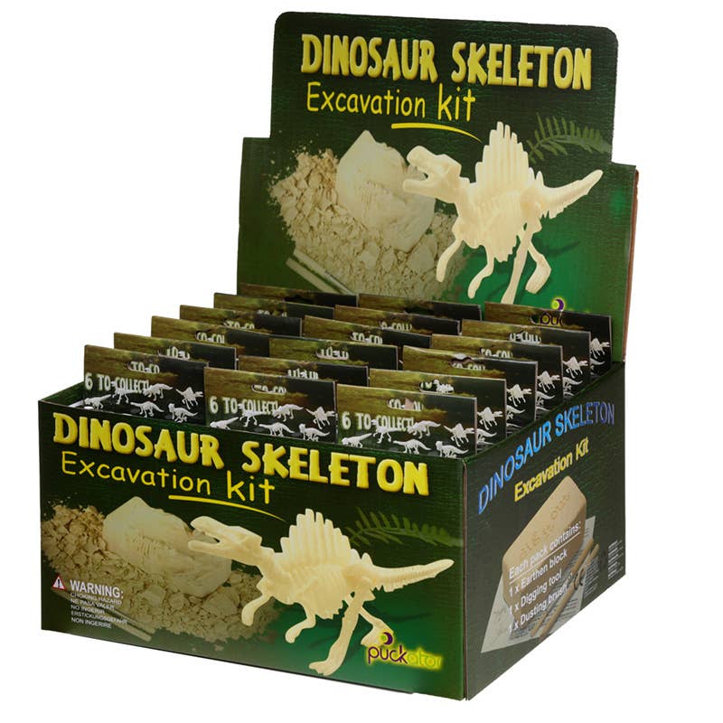 Puckator Ltd – wholesale Puzzle – Child – Small Dinosaur Skeleton Dig It Out Kit4