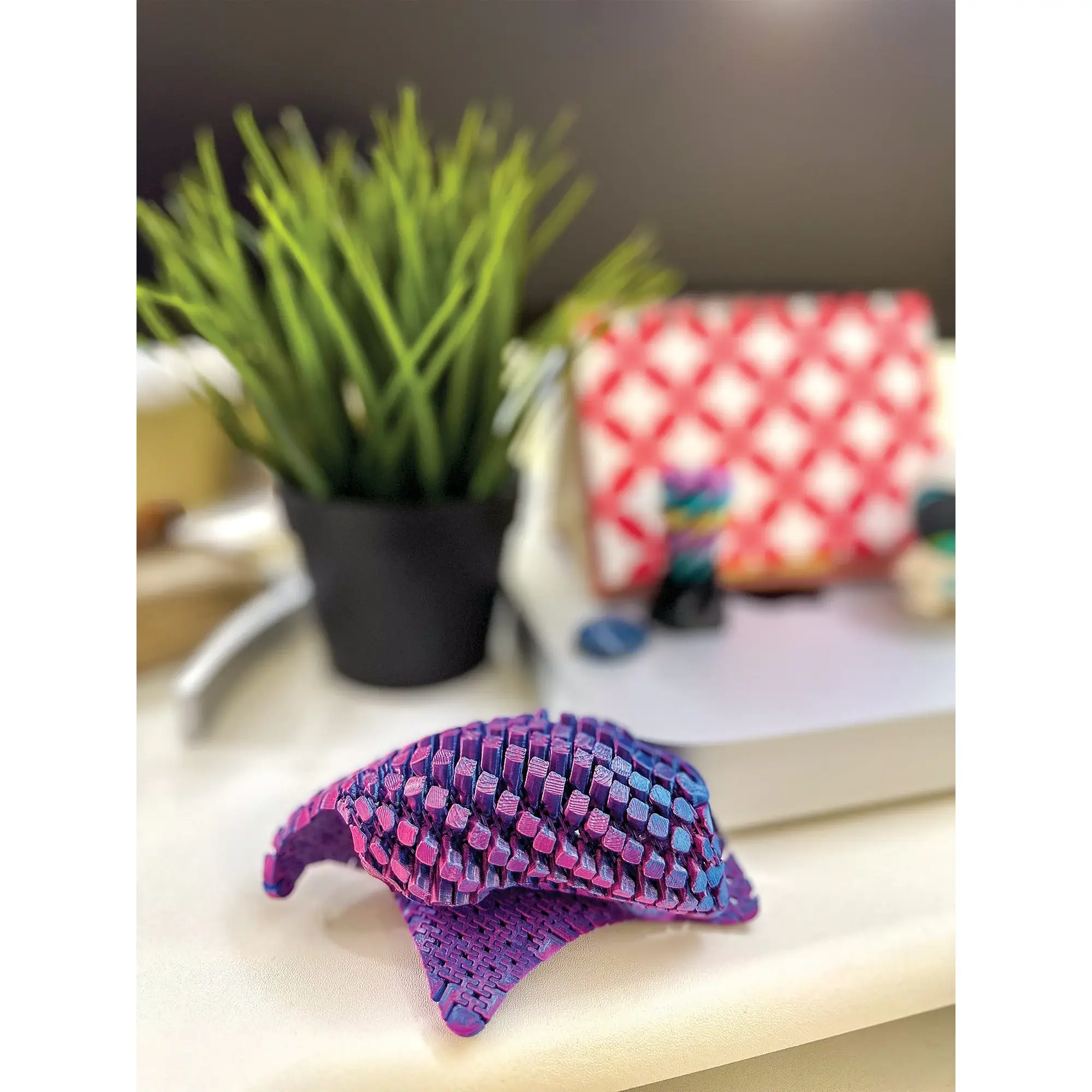 Geddes - Vente Fidget/jouet anti-stress – enfant - JOUET ANTI-STRESS ÉTOILE DE MER IMPRIMÉ EN 3D 6/SAC7