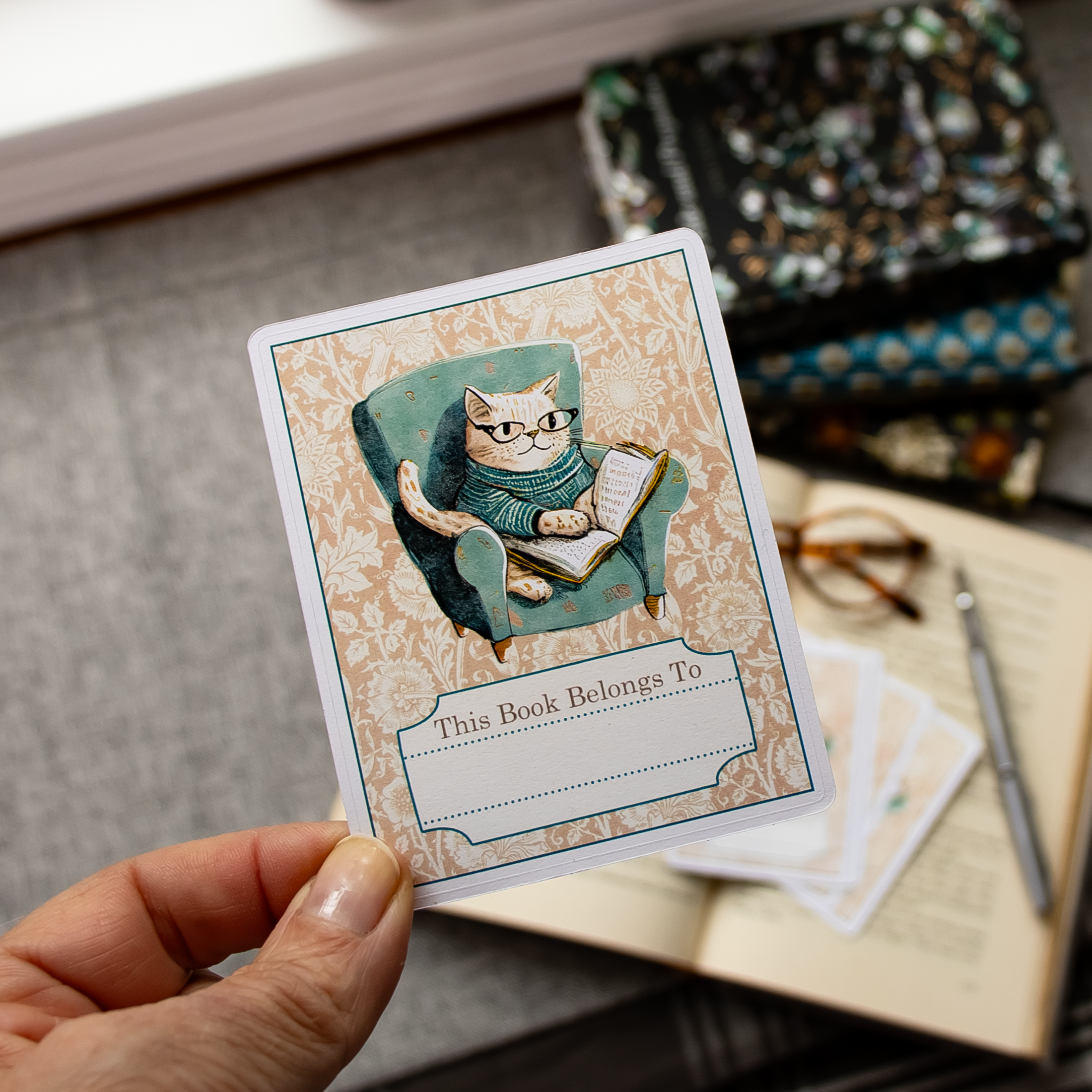 Sunshine and Ravioli - Wholesale Sticker - Cozy Cat Bookplate Stickers 0