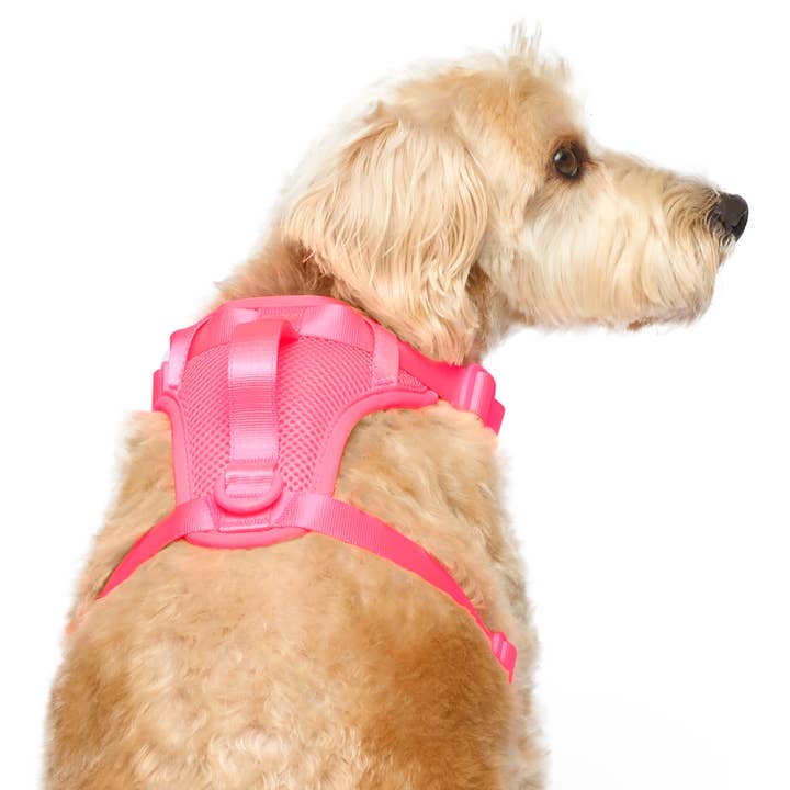 Canada Pooch - Wholesale Pet Harness - Dog - Everything Harness- No-Pull Dog Harness (Mesh)12