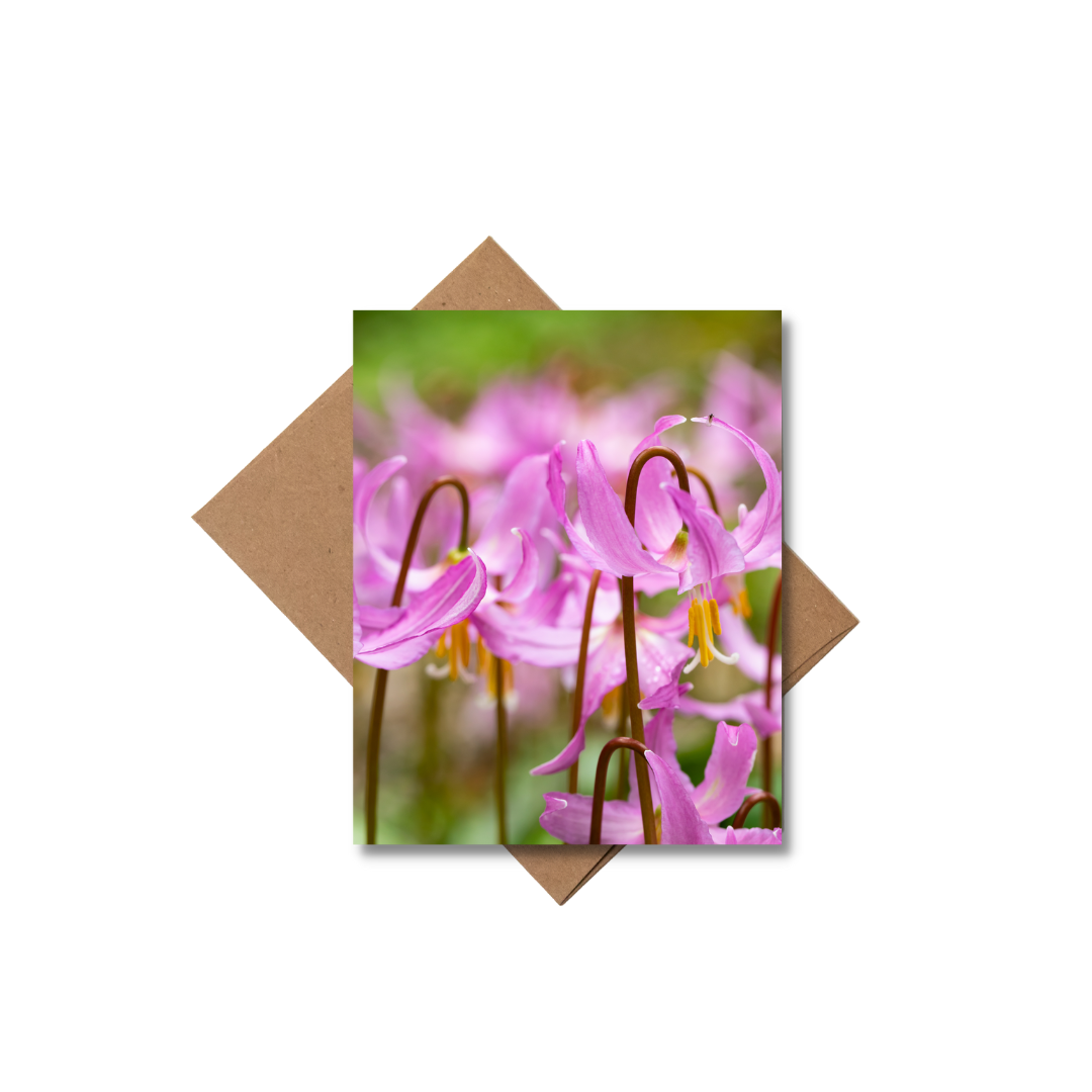 Andrea Morris Art - Wholesale Stationery/Notecard Set - Floral Card Variety Pack (5 Different Cards + Envelopes)1