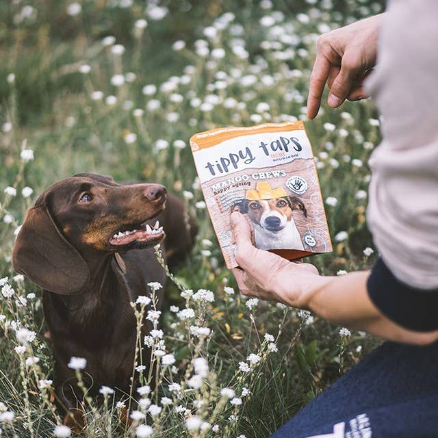 Tippy Taps Treats - Wholesale Pet Treats - Dog - Natural Dog Treats, Mango Chews 80gr - Vegan & Gluten Free3