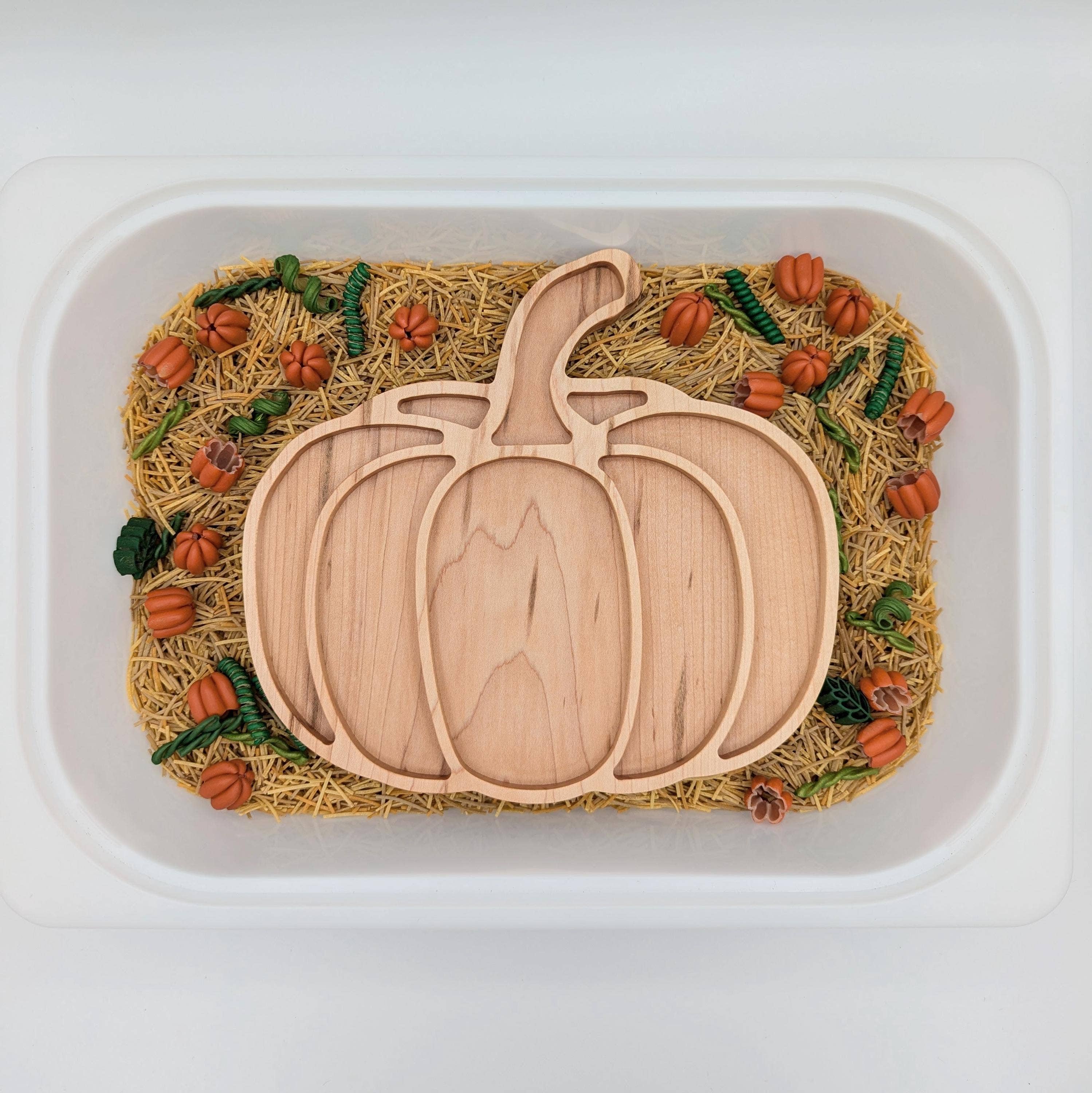 Carved Together Co - Wholesale Wood Toy - Kids - Pumpkin Sensory Play Tray - Large0