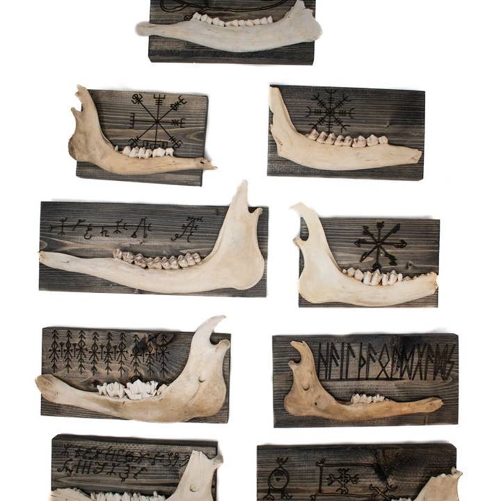 norse symbols deer jawbone wall hanger for wholesale by Oreamnos Oddities