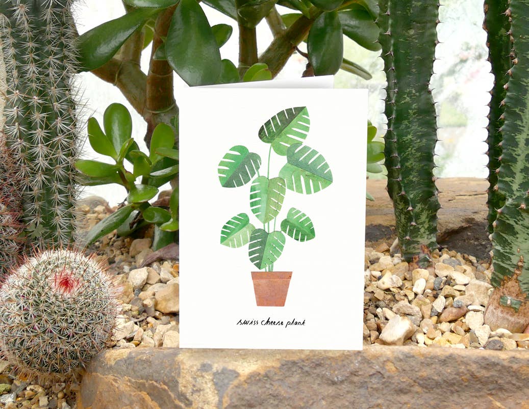 Paperwhale Cards & Paper Goods – wholesale Everyday greeting card – Swiss Cheese Plant Card