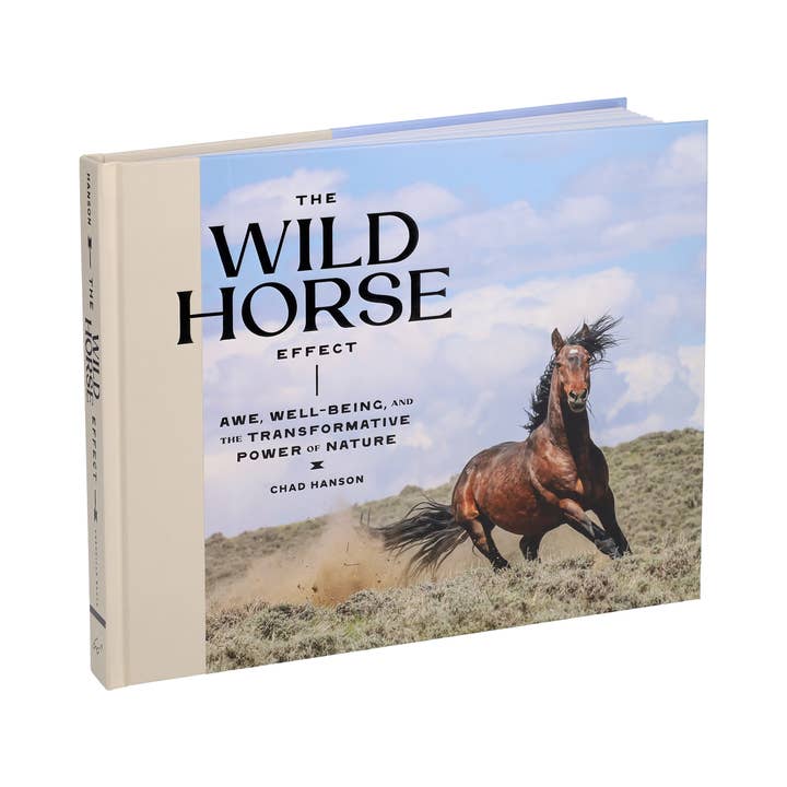 Chronicle Books - Wholesale Nature & Outdoors - Wild Horse Effect7
