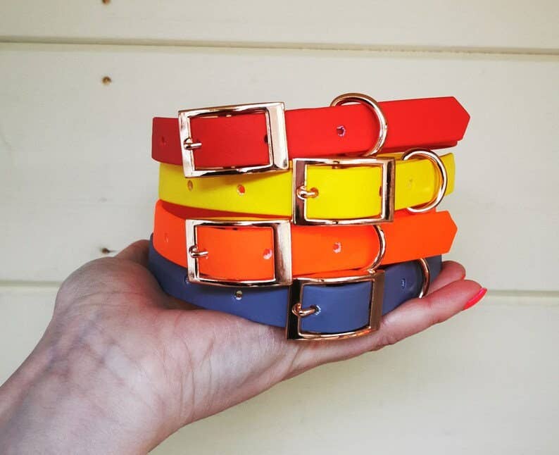 Pet Pooch Boutique - Vente Collier – chien - Collier pour chien en biothane bleu bébé - Accessoires en métal - Fait main2