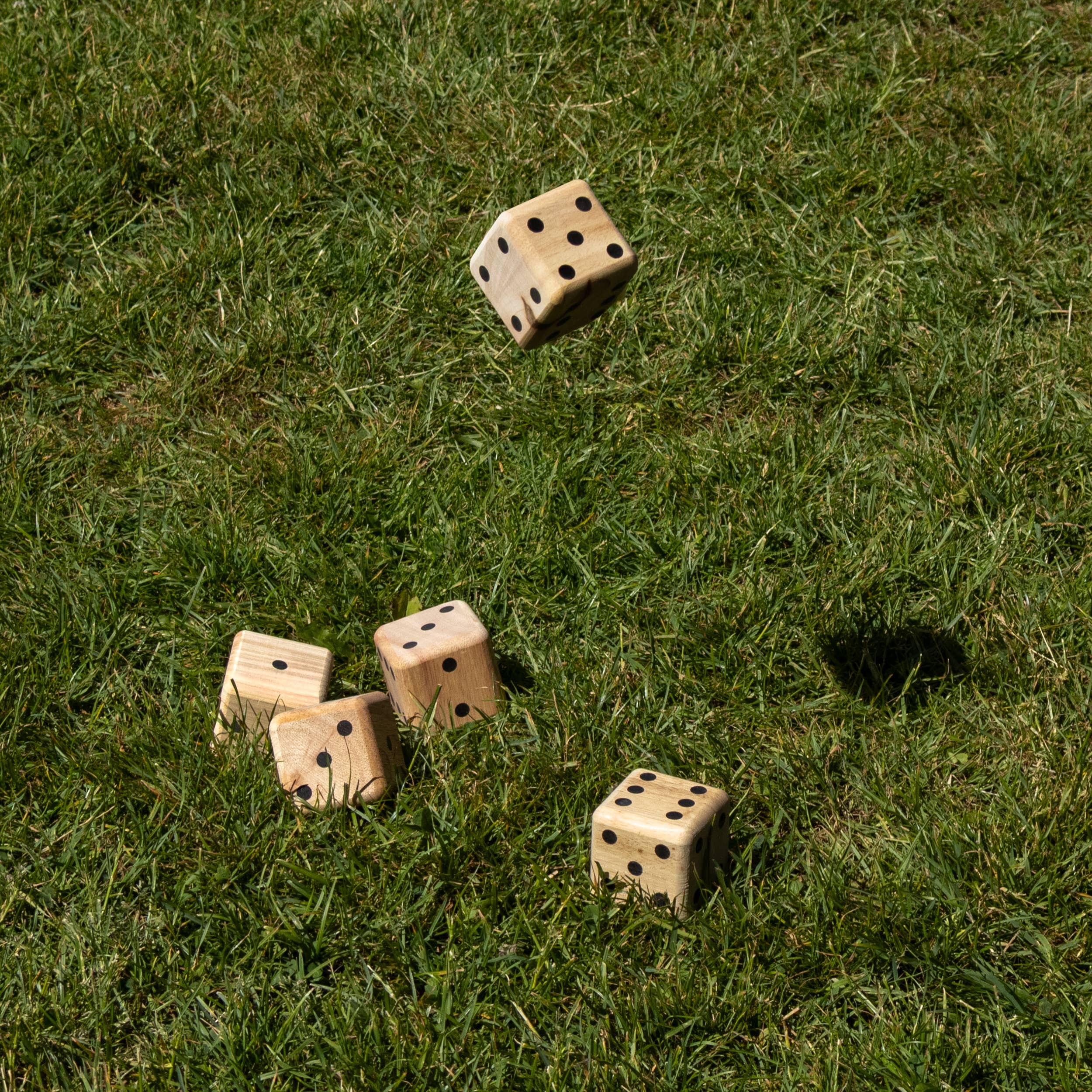 Robert Frederick Ltd - Wholesale Dice - Giant Dice Game - Flamingo Games4