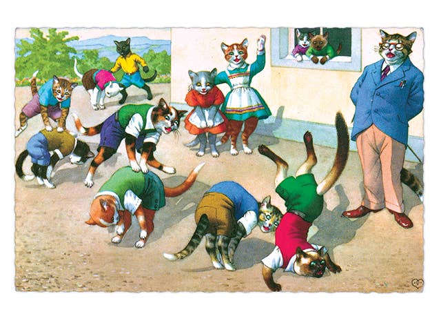 Laughing Elephant - Wholesale Postcard - Delightfully Dressed Cats - Everyday Boxed Postcards4