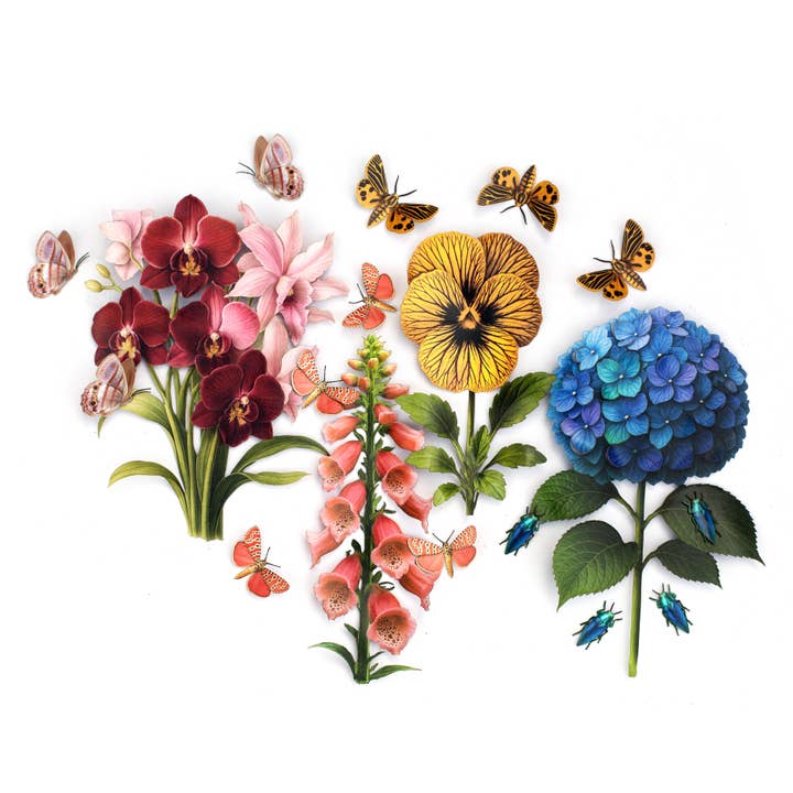 Moth and Myth - Wholesale Cutouts - Ornate Bella Moth & Dalmatian Foxglove Paper Specimen Set 6