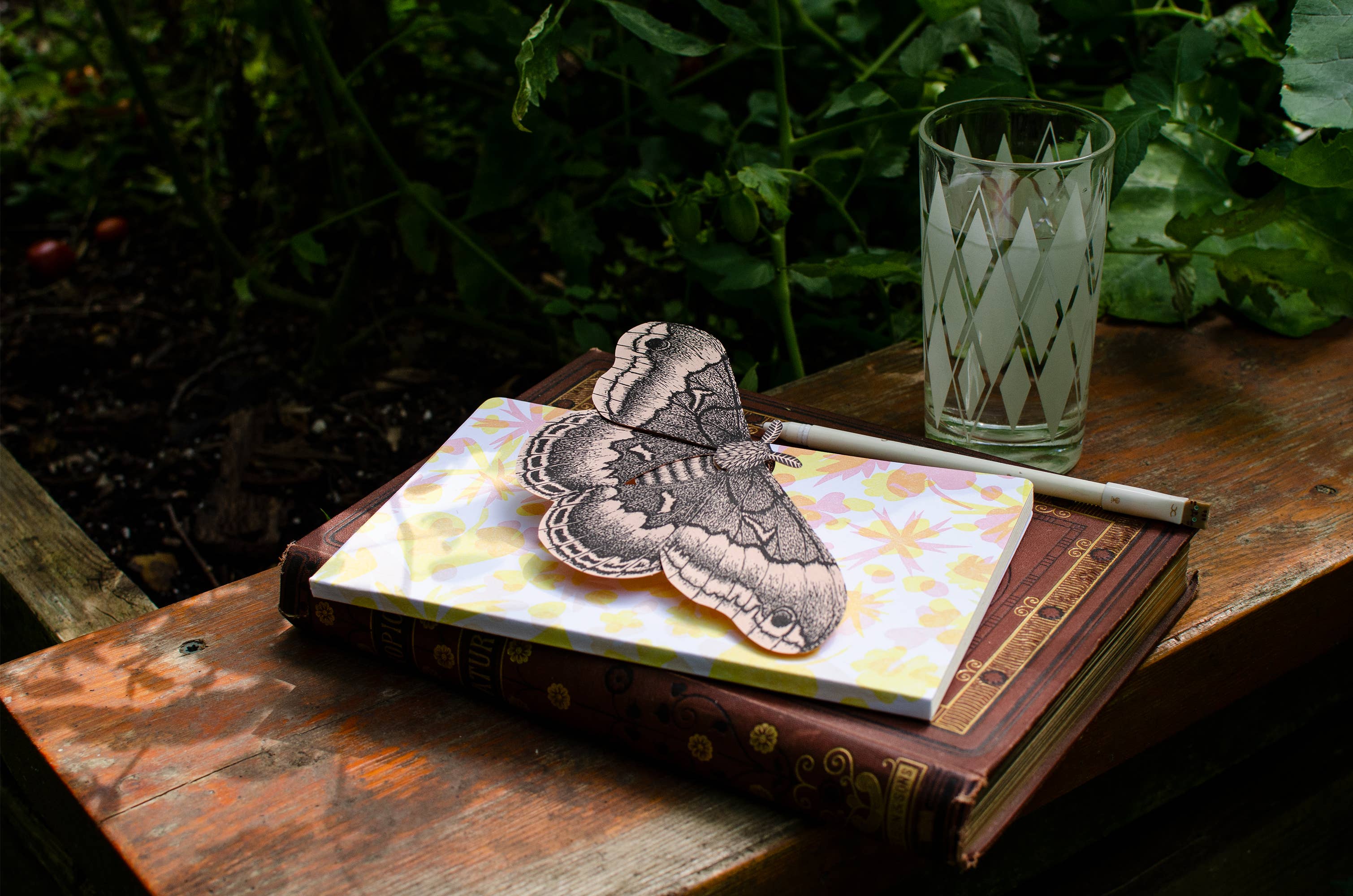 Questionable Press - Wholesale DIY Craft Kit - Moth Paper Sculpture3