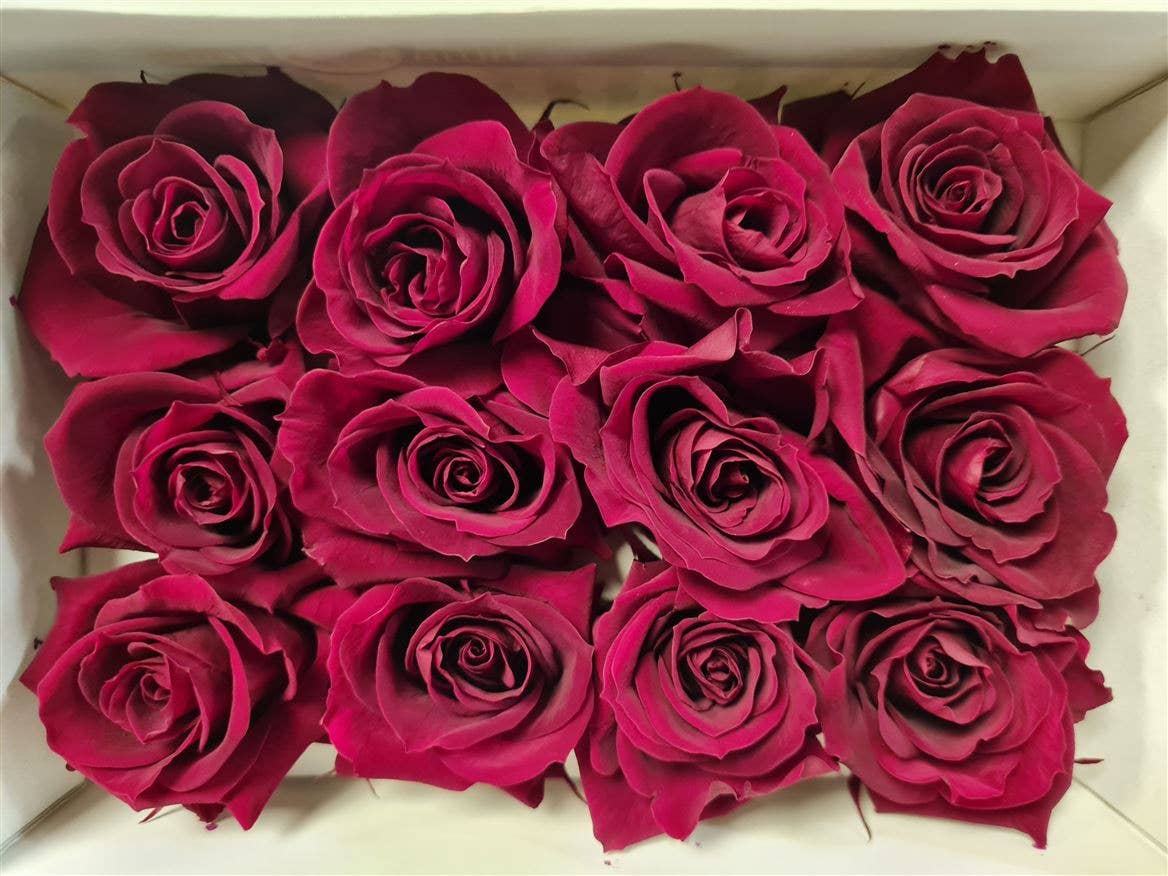 Dutch Flower Studio - Wholesale Artificial Flowers - 🌸 Preserved Roses - 10 colors - Decoration - Flowers - 4 cm7