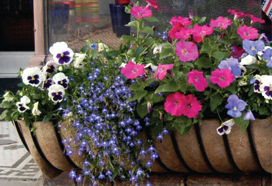 Farmer You LLC - Vendita all'ingrosso Attrezzi da giardino - Rotolo Magni Moist Bulk2