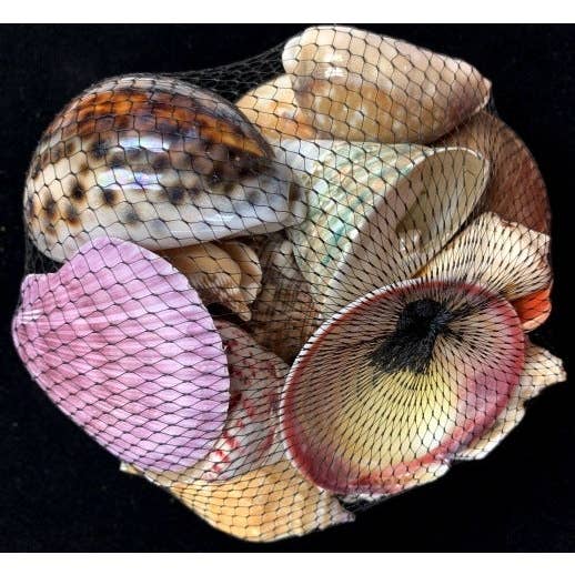 Darlene's Shells - Wholesale Drawstring Bag - Unisex - BLACK NET SHELL BAG1