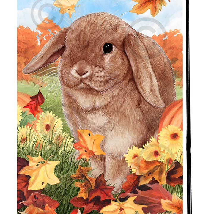 Pet Gifts USA, LLC – Engroshandel Flag – Kanin Mini Lop Kanel Faldende Blade - Have Flag