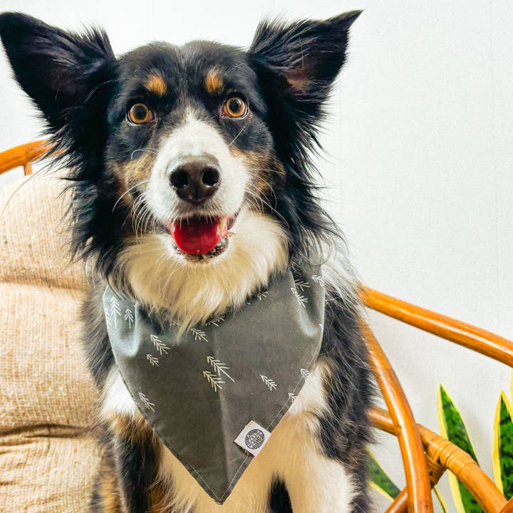 Betty Dog Bandana | Gray Forest Folklore Minimal Pet Scarf for wholesale on Faire1