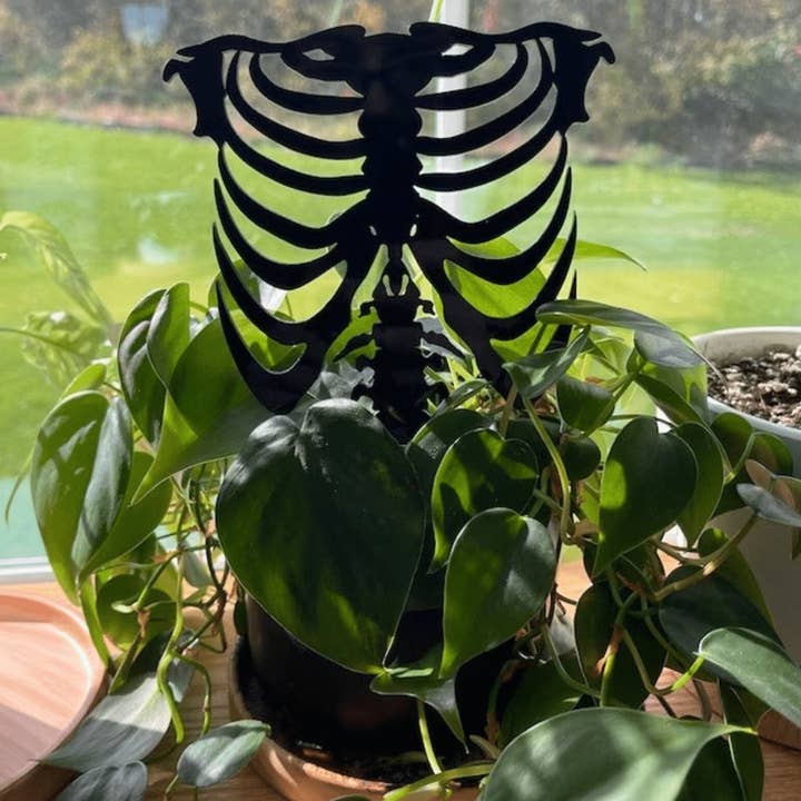 Faux Theory Design - Wholesale Trellis - Rib Cage Plant Trellis | Gothic Acrylic Support for Climbing Plants1